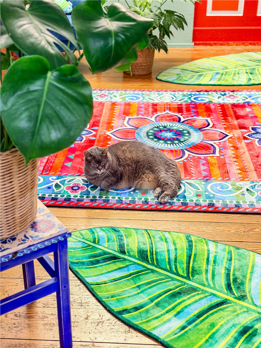 Graue Katze liegt entspannt auf einem bunten Teppich mit Mandala-Blumenmuster in Rot, Pink, Orange und Türkis. Im Vordergrund liegt ein grüner Blatt-Teppich auf hellem Holzboden. Große Zimmerpflanzen mit grünen Blättern, ein blauer Hocker und weitere Blatt-Teppiche schaffen eine tropische, kreative Wohnatmosphäre. Farbenfrohe Teppiche und natürliche Elemente verleihen dem Raum ein gemütliches, verspieltes Ambiente.